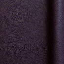 Symphony Purple