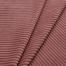 Cilium CILIUM CORAL